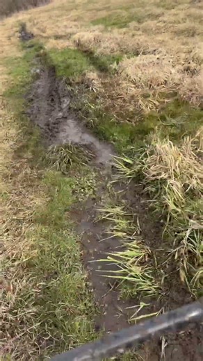 Mudding with the quad #automobile #quads #mudding #mudbog #mudbogging #atv #4wheeler