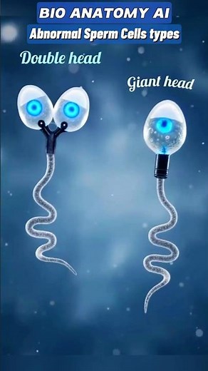 Abnormal Sperm Cells Explained | Types and Their Role in Male Fertility | #fertility #fertilization