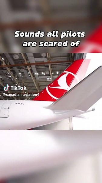 Pilots' Scary Sounds: Sink Rate, Bank Angle, Runway Too Short