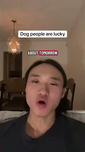 Dogs bring love to its most basic and pure form