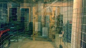 1.7K views · 33 reactions | Are humans getting in the way of...