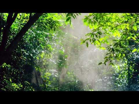 Meditación de la mañana | 5 minutos de mindfulness para empezar el día