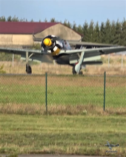 The Focke-Wulf Fw 190 A-8 D-FWAA thunders back from an intense tailchase with a Supermarine Spitfire at Hangar 10. Raw radial power. Tight turns. Living history in the air. #FW190 #Warbirds #AvGeek | Warbirds