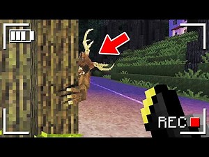 Something SCARY is hiding in the FOREST in Minecraft...