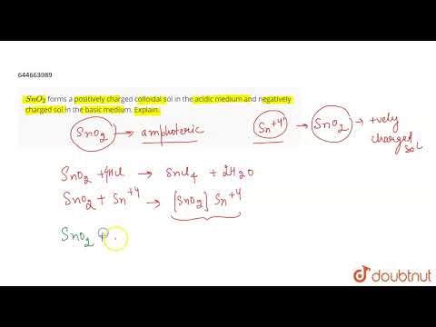 SnO_2 forms a positively charged colloidal sol in the acidic medium and negatively charged sol i...