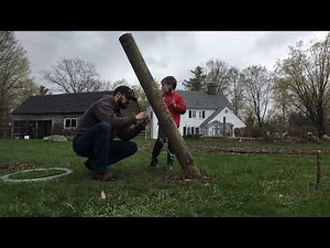 Building a Trellis for Seedless Table Grapes