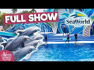 Dolphin Days Full Show at SeaWorld San Diego | April 2022