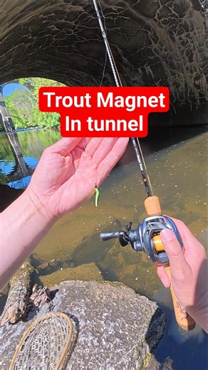 BFS Trout Magnet Fishing in Tunnel is Epic!