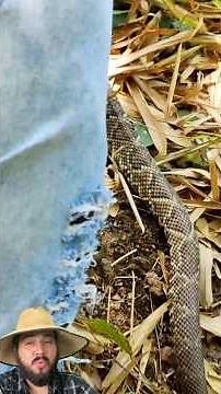 Tranquility in person