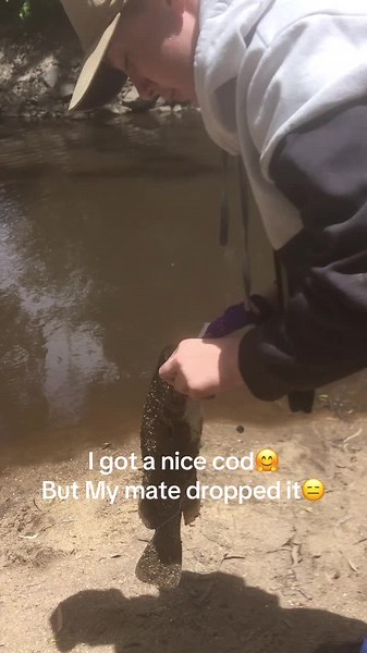 Fishing for Cod: Catch and Clean Experience