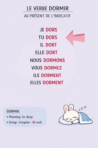 Le verbe DORMIR au présent 🇫🇷