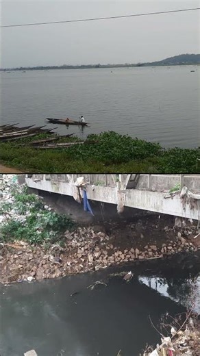 Pamohi river polluting Deepor Beel #deeporbeel #pollution #ramsarsitesinindia #guwahati #assam