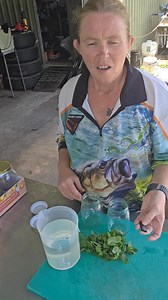Making a mint extract | crazy backyard mixers. 2