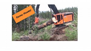 5.5K views · 156 reactions | TimberPro Inc on Reels | Facebook