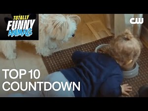 Hilarious Pet Interactions with Kids | Totally Funny Animals | Full Episode | The CW