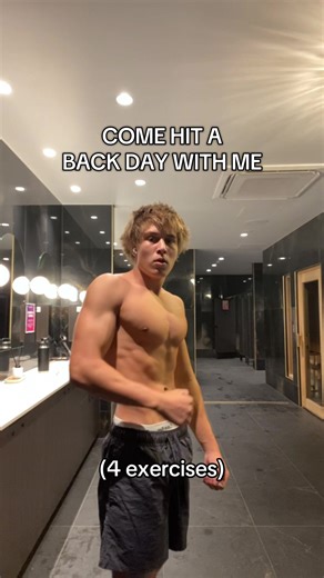 My 4 exercise back day to build a turtle shell #gym #aesthetics #workout #davidlaid #fyp