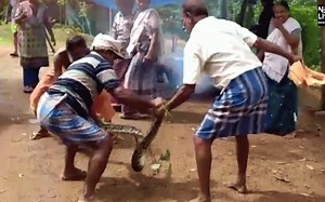 PHOTOS: Man narrowly escapes death after being strangled by python