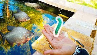Best Pond Bait? Watch These Blue Worms Catch Everything