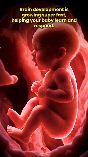 26 Weeks Pregnant 🤰✨ Baby Opens Eyes for the First Time?! #pregnancy #26weeks #babygrowth
