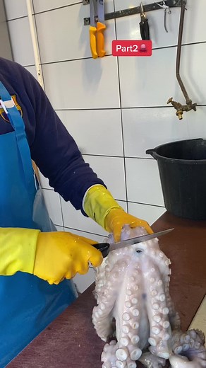 Part 2 🐙🔪 #learnontiktok #μαθεστοτικτοκ #nikofish10 #fish #viral #fyppp #octopus