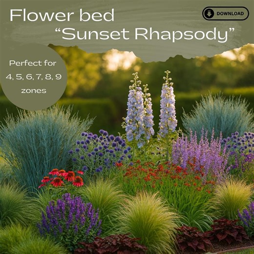 Pollinator Garden Design Plan: Blue and Red Sidewalk Garden Plan (zones 4 - 9) Full Sun Garden - Etsy