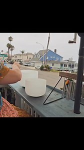 This bird has the most enthusiasm of any sound healer I’ve ever seen! 🥰 Shout out to our amazing student Celeste for sharing with us ❤️ | Vickie Gould