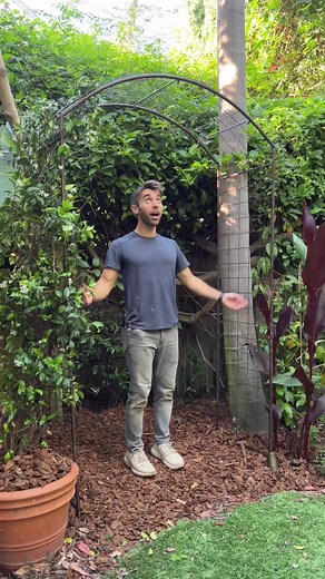 Learn how Farmer Nick really worked his magic with our Jardin Rose Arch. "Assembly was super simple once I bregrudgingly agreed to read the directions and I placed the archway in the sunny corner of my old house. Then it was time to plant and get the jasmine established and here are my top three tips:⁣⁣🌿 reusable green garden velcro tape is a great way to keep your vine attached to a trellis and make easy adjustments.⁣⁣🌿 position the vine so its natural path towards the sun connects with your 