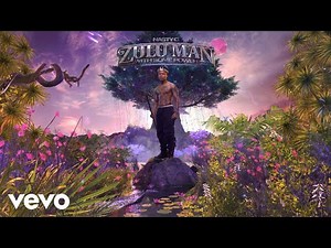 Nasty C, Rowlene - Deep Pockets (Visualizer)