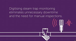 NEON Sonic Animation Video