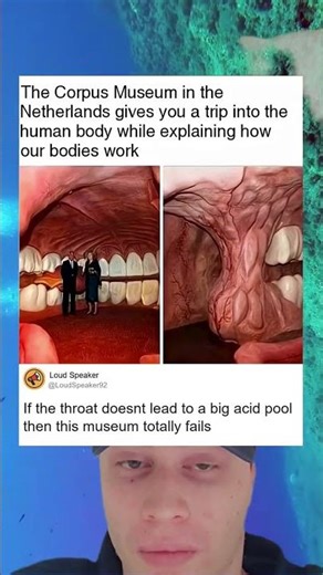 A Journey Inside The Human Body At Corpus Museum Netherlands