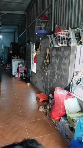 😂😂😂😂😂😂🥴