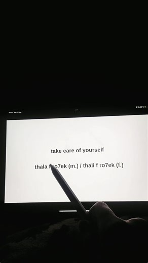 Learn Darija: Essential Algerian Arabic Sentences