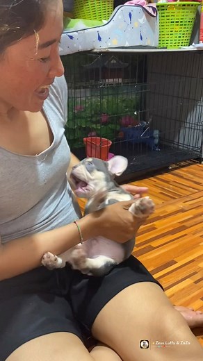 No body can’t stop me because hungry 🤤 | Nurf