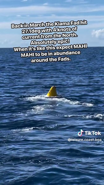 Discover the Thrill of Game Fishing for Mahimahi