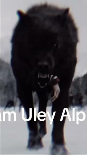 Sam the first werewolf in twilight new moon