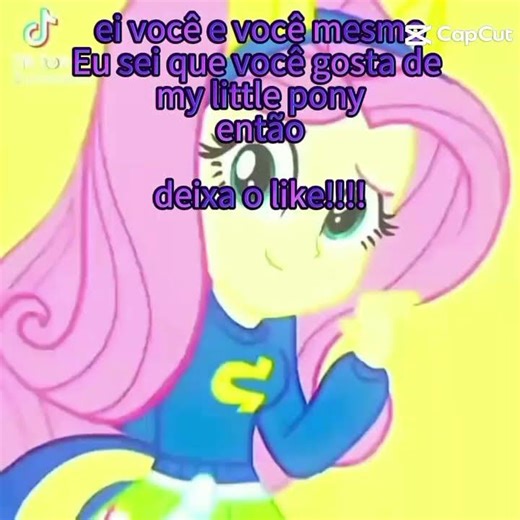 mlp pony