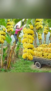 8.9M views · 146K reactions | Medieval on Reels | Facebook