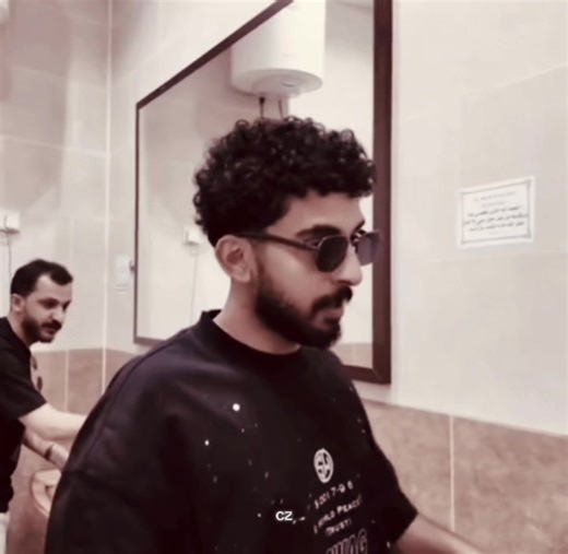 Exploring the World of Falcons: An Iconic Journey