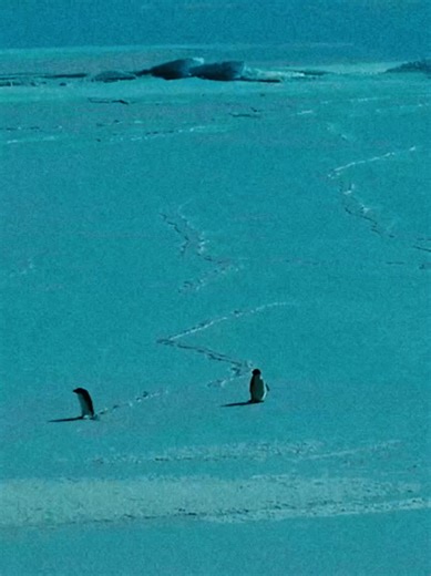 #darkaesthetic #medieval #philosophy #ancienthistory #europe | medieval