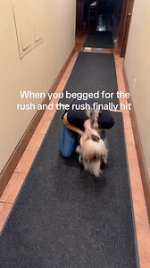 801K views · 39K reactions | Me rn hiding in the walk in creator: @addy64033 #serverproblem #server #serverlife #restaurant | TRULY TAY | Facebook