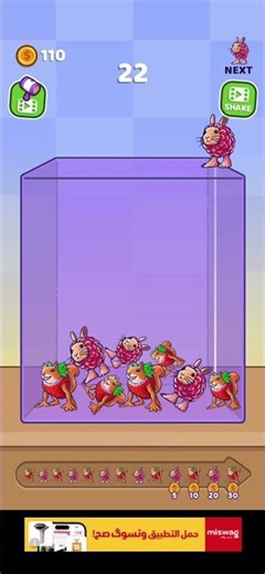 raspberry rabbit (Serbian) versus pipi strewberry (USA)