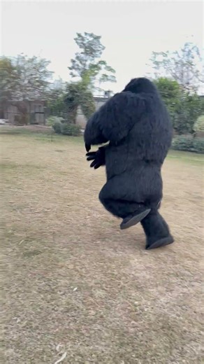 Lion scared from gorilla #faiziwildlifepark