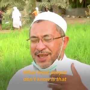 Chanting prayer songs in unison, farmers in the Al-Ahsa Oasis in the eastern province of Saudi Arabia say they have been planting red Hassawi rice – among the world's most expensive – for generations. | Reuters