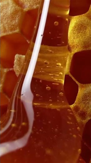 Liquid Gold 🍯 The Most Satisfying Honey Loop