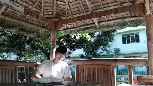 #LCVitPlus #fyp #streaksaver #school #project #pet #meme #advertising #commercial @omsig @arjay @liam