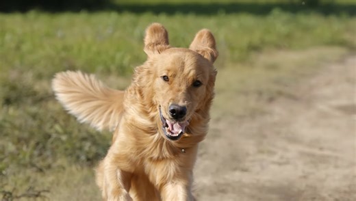 Just How Good Is the Canon EOS R7 Mirrorless Camera?