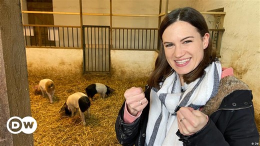 Good luck, bad luck and happiness in Germany