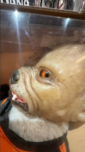 Baby Werewolf Puppet | Halloween - The Horror Dome #toys