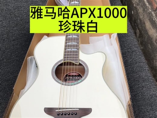Yamaha雅马哈APX1000