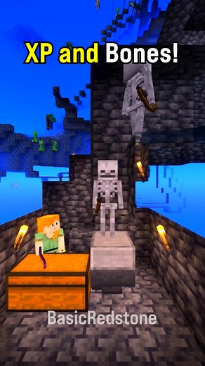 Minecraft Skeleton Farm: Step-by-Step Tutorial & Farm Ideas